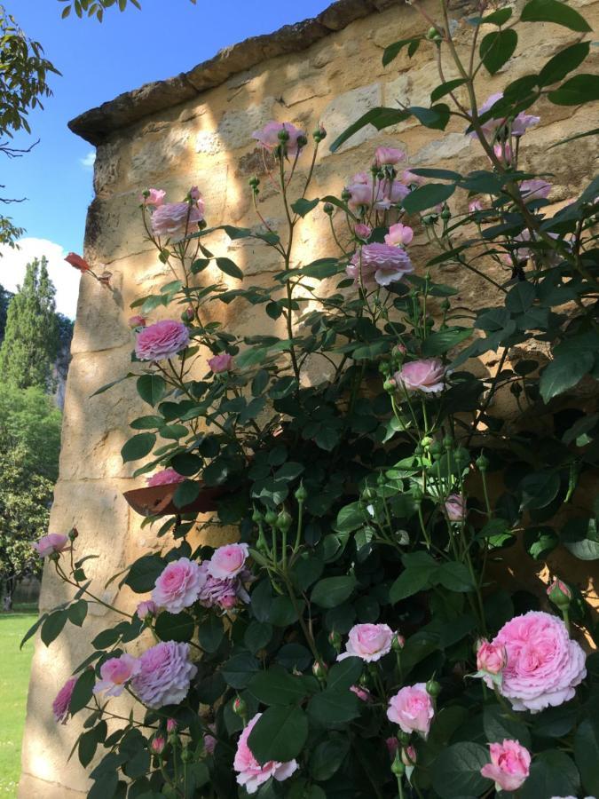 Par La Riviere Bed & Breakfast La Roque-Gageac Exterior photo